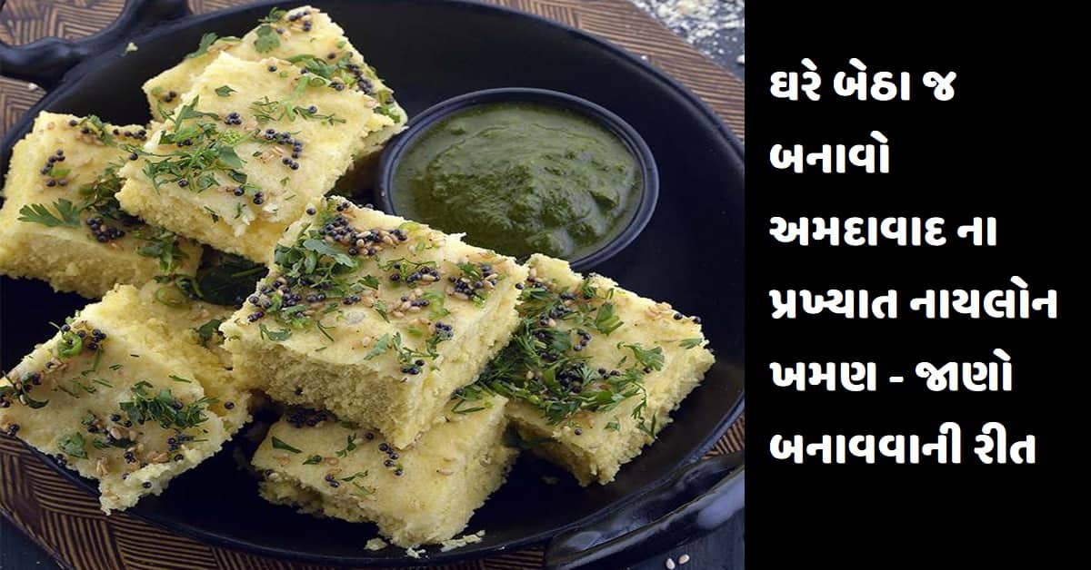 ઘરે બેઠા જ બનાવો અમદાવાદ ના પ્રખ્યાત નાયલોન ખમણ – જાણો બનાવવાની રીત