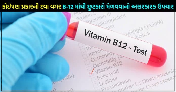 કોઈ પણ પ્રકારની દવા વગર શરીરમાં B-12 ની ઉણપથી થતાં દરેક રોગથી કાયમી છુટકારો  મળવો, આ સરળ અસરકારક ઉપચાર..