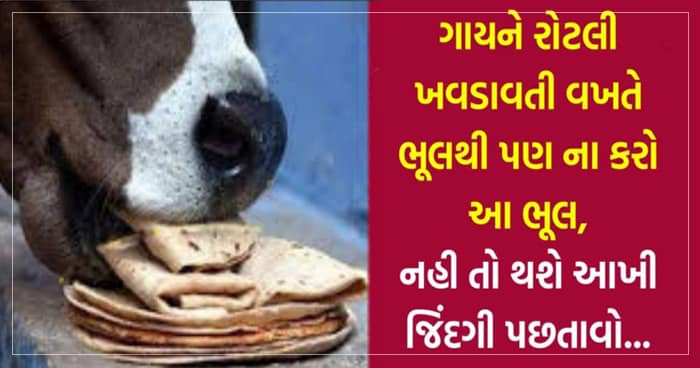 ગાયને રોટલી ખવડાવતી વખતે ભૂલથી પણ ના કરો આ ભૂલ, નહી તો થશે આખી જિંદગી પછતાવો…