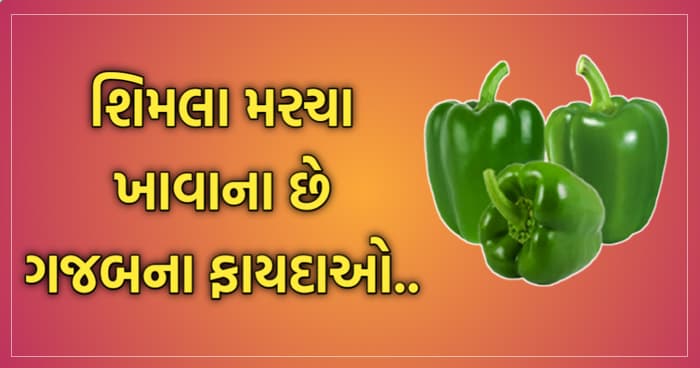 શિમલા મરચા છે અનેક રોગો દૂર કરવામાં લાભદાયક. એકવાર શિમલા મરચાના ફાયદા જરૂર જાણીલો.