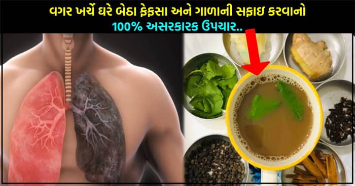વગર ખર્ચે ઘરે બેઠા ફેફસા અને ગાળાની સફાઇ કરવાનો 100% અસરકારક ઉપચાર..
