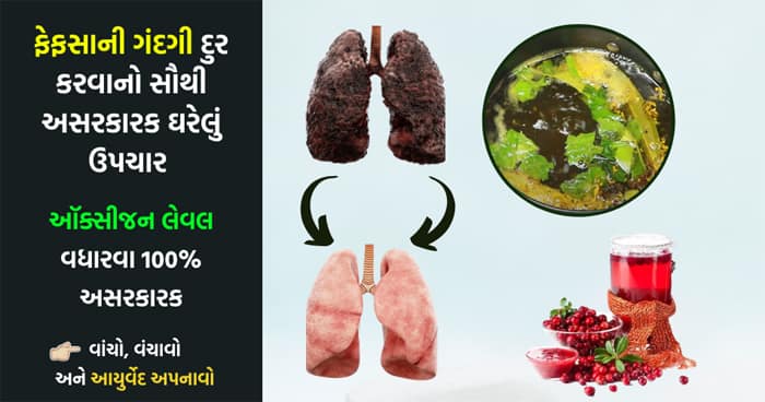 ફેફસામાં કફ અને ધુમાડો જેવી ગંદકીને સાફ કરે છે આ ઘરેલું ઉપચાર