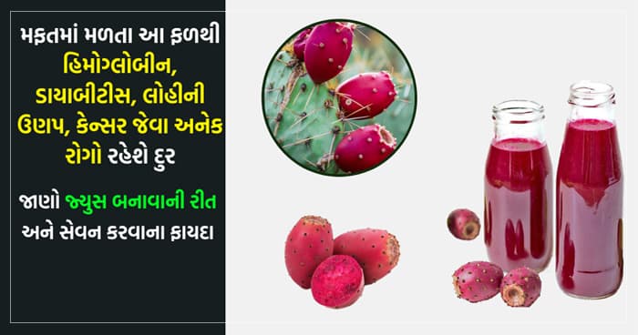 મફતમાં મળતા આ ફળથી હિમોગ્લોબીન, ડાયાબીટીસ, લોહીની ઉણપ, કેન્સર જેવા રોગો રહેશે દુર
