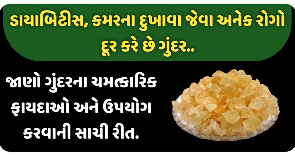 ડાયાબિટીસ, કમરના દુખાવા જેવા અનેક રોગો દૂર કરે છે ગુંદર. જાણો ગુંદરના ચમત્કારિક ફાયદાઓ.
