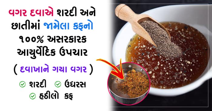 વગર દવાએ શરદી અને છાતીમાં જામેલા કફનો 100% અસરકારક આયુર્વેદિક ઉપચાર..