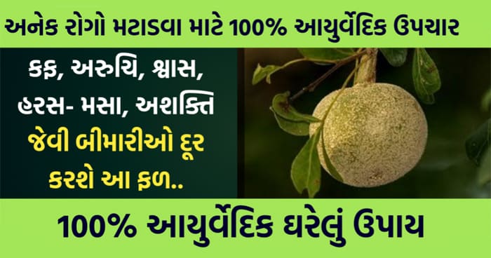 કફ, અરુચિ, શ્વાસ, હરસ- મસા, અશક્તિ જેવી બીમારીઓ દૂર કરશે આ ફળ..