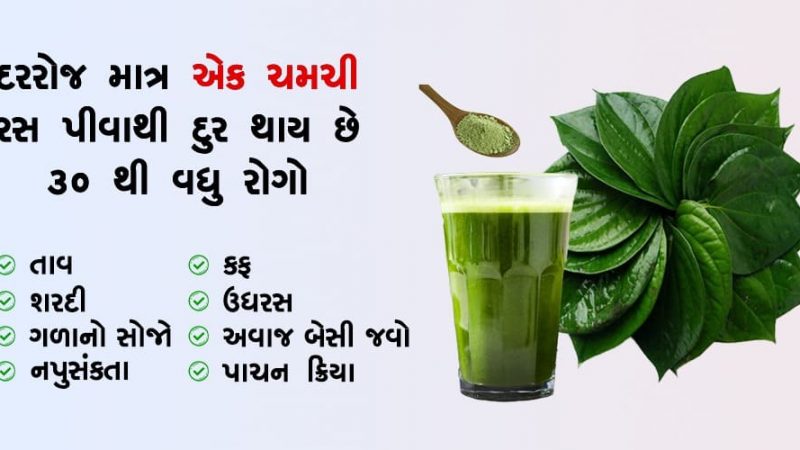 30 થી વધુ રોગોના ઈલાજ માટે વપરાય છે આ ગ્રીન ગોલ્ડ પાનનો રસ