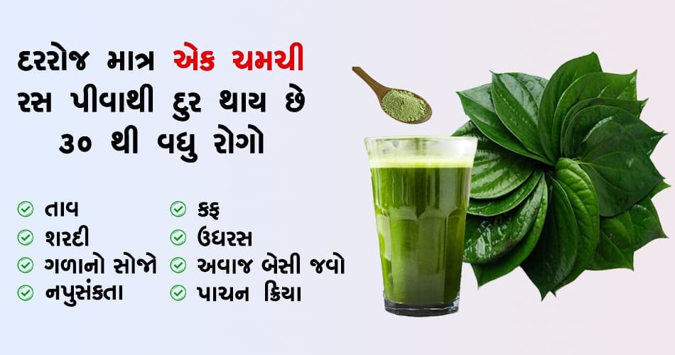 30 થી વધુ રોગોના ઈલાજ માટે વપરાય છે આ ગ્રીન ગોલ્ડ પાનનો રસ