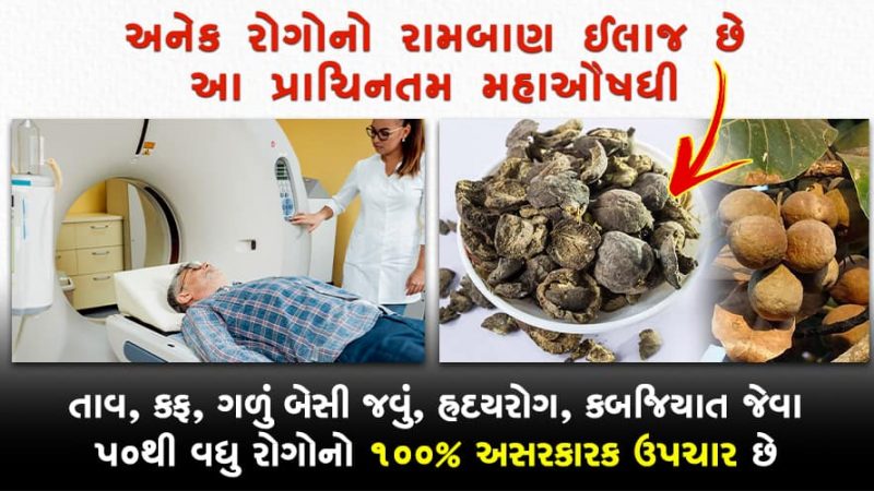 તાવ, શરદી, કફ, દમ, હ્રદય રોગ, પથરી જેવા 50થી વધુ રોગોનો 100% ઉપચાર છે આ મહાઔષધી
