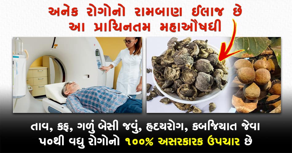 તાવ, શરદી, કફ, દમ, હ્રદય રોગ, પથરી જેવા 50થી વધુ રોગોનો 100% ઉપચાર છે આ મહાઔષધી