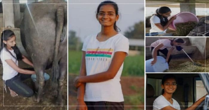 જીન્સ ટીશર્ટ પહેરી કોલેજ જતી શ્રદ્ધા સંભાળે છે 80 ભેંસનો તબેલો, વહેલી સવારીથી મોડી રાત સુધી આ રીતે કરે છે મહેનત, કરે છે લાખોની કમાણી
