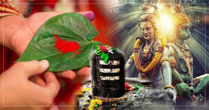 મહેનત કરવા છતાં પણ નથી મળી રહી સફળતા તો અપનાવો આ ઉપાય, સફળતા તમારા કદમો છુશે
