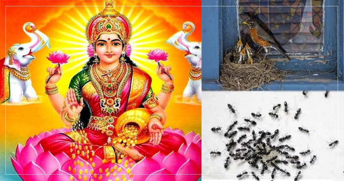 જીવનમાં નજર આવે આ ત્રણ સંકેત, તો સમજો લ્યો કે હવે તમારો સારો સમય શરૂ થવા જઈ રહ્યો છે