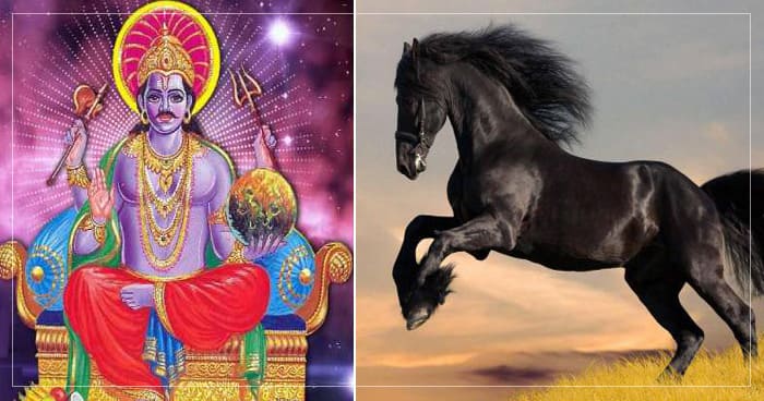 વાસ્તુશાસ્ત્ર અનુસાર ઘરની દીવાલ પર ના લગાવવી જોઈએ આ વસ્તુની તસવીરો, નહિતર ભોગવવું પડશે ભારે નુકશાન