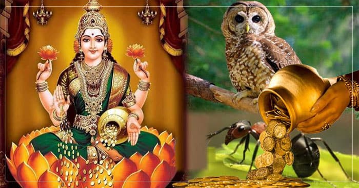 હાથ માં ખંજવાળ થી લઈને ગરોળી દેખાવા સુધી, આ સાત વસ્તુઓ આપે છે ધન લાભ ના સંકેત..