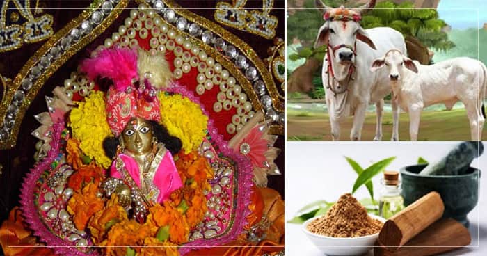 આ જન્માષ્ટમી પર ઘરે લાવો આ વસ્તુઓ, જીવનની સમસ્યાઓ દૂર થશે, બદલાશે કિસ્મત