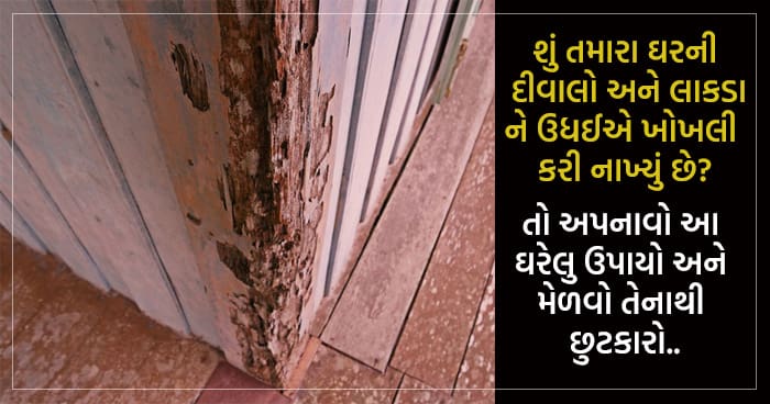 શું તમારા ઘરની દીવાલો અને લાકડાને ઉધઈએ ખોખલી કરી નાખ્યું છે, તો અપનાવો આ ઘરેલુ ઉપાયો અને મેળવો તેનાથી છુટકારો..