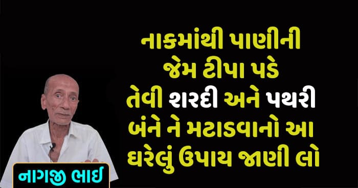 નાકમાંથી પાણીની જેમ ટીપા પડે તેવી શરદી અને પથરી બંને ને મટાડવાનો આ ઘરેલું ઉપાય જાણી લો, મળશે ખુબ રાહત..