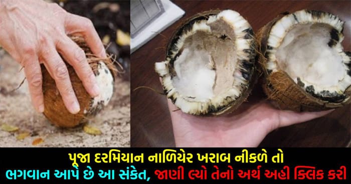 પૂજામાં નારિયેળ હોય છે ખુબ જ ખાસ, જો પૂજા દરમિયાન નારિયેળ ખરાબ નીકળી જાય તો સમજો ભગવાન આપી રહ્યા છે આ સંકેત