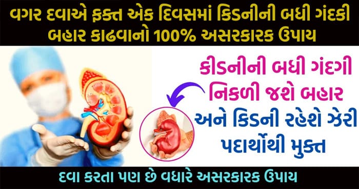 વગર દવાએ ફક્ત એક દિવસમાં કિડનીની બધી ગંદકી બહાર કાઢવાનો અસરકારક ઉપાય, કિડનીની પથરીથી પણ મળશે છુટકારો..
