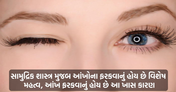 સામુદ્રિક શાસ્ત્ર મુજબ આંખોના ફરકવાનું હોય છે વિશેષ મહત્વ, આંખ ફરકવાનું હોય છે આ ખાસ કારણ