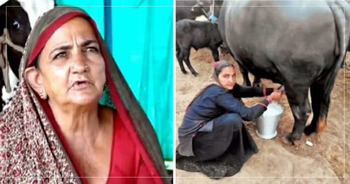 નથી ક્યારેય સ્કૂલે ગયા, નથી ક્યારેય અભ્યાસ કર્યો, તો પણ કમાણી કરે છે મહિના ની 3 લાખ રૂપિયા, જાણો કઈ રીતે..